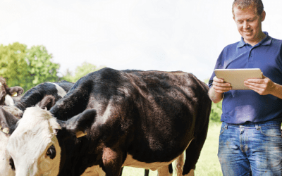 The typical problems of farm accounting