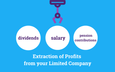 Extracting Profits from a Limited Company