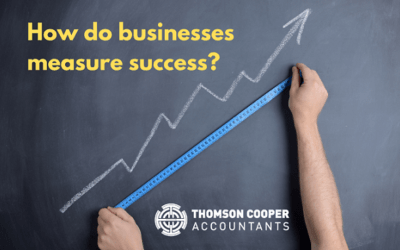 How Do Businesses Measure Success?