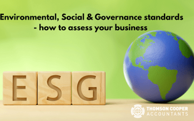 ESG – easy steps to assess your business
