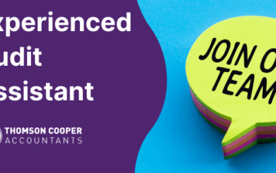 Experienced Audit Assistant